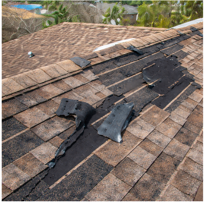Read more about the article Roof Repair vs. Replacement: Which Do You Need in Minneapolis-St. Paul, MN